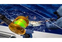 Rod / Reel Combos