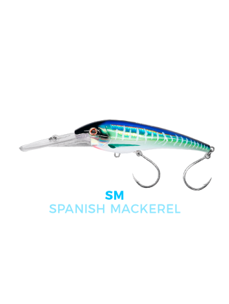 Spanish Mackerel
