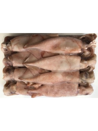 Baby Squid 1 kilo